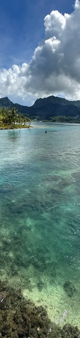Das glasklare Wasser Polynesiens ist faszinierend, man kann davon fast nicht genug bekommen.